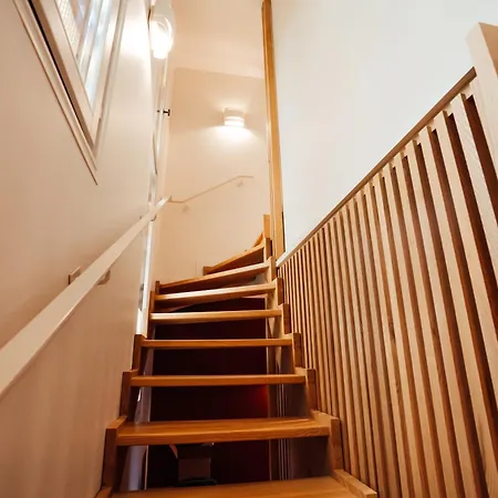 Moho Mountain Home, Les Animaux Fantastiques