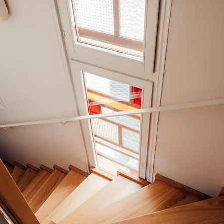 Moho Mountain Home, Les Animaux Fantastiques *