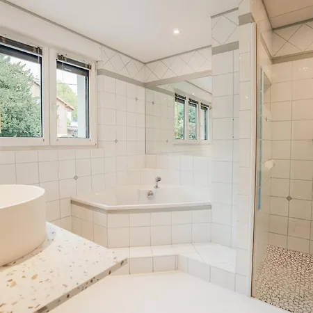 Moho Mountain Home, Les Animaux Fantastiques * Gérardmer