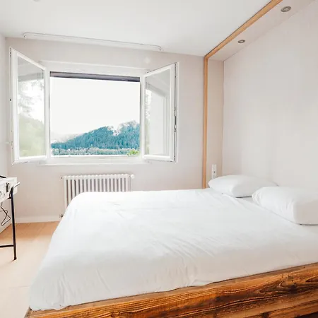 Moho Mountain Home, Les Animaux Fantastiques Gerardmer