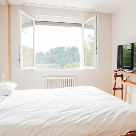 Moho Mountain Home, Les Animaux Fantastiques