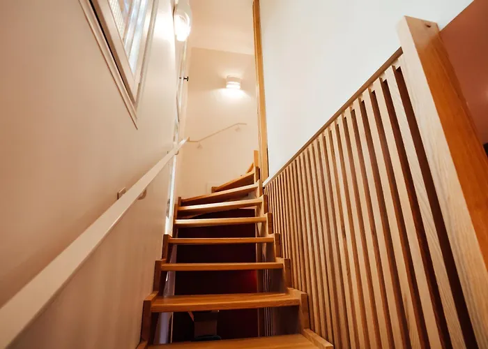 Moho Mountain Home, Les Animaux Fantastiques