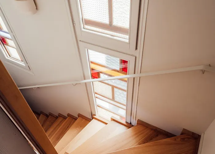 Moho Mountain Home, Les Animaux Fantastiques *