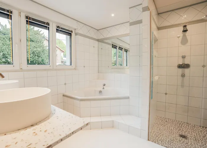 Moho Mountain Home, Les Animaux Fantastiques * Gérardmer