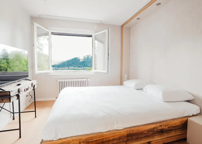 Moho Mountain Home, Les Animaux Fantastiques 제라르메르