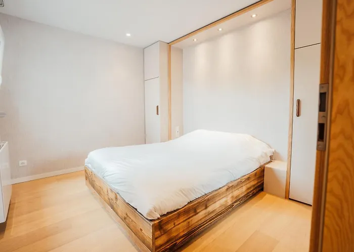 Moho Mountain Home, Les Animaux Fantastiques * Gérardmer