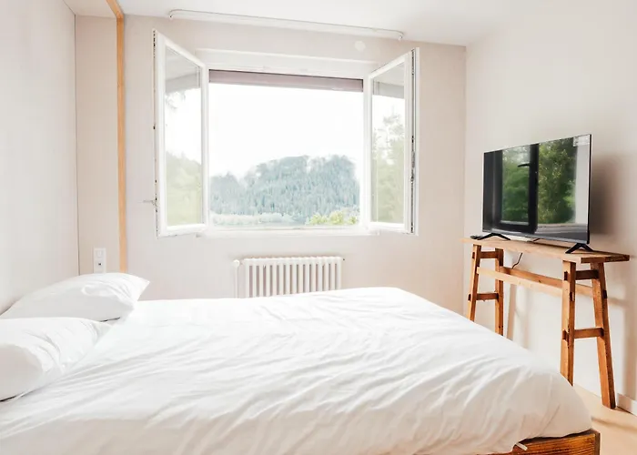 Moho Mountain Home, Les Animaux Fantastiques